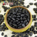 Black kidney bean/frijoles negros black bean